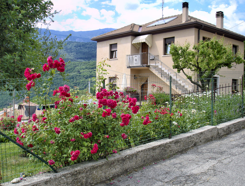 One of the villas in Spiazzi with some beautiful dark pink roses climbing the fence.