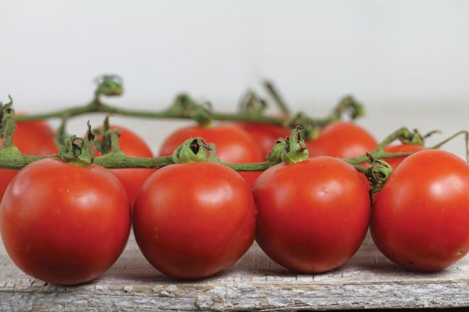 Chadwick Cherry Tomatos. Photo courtesy of Baker Creek Heirloom Seeds. 